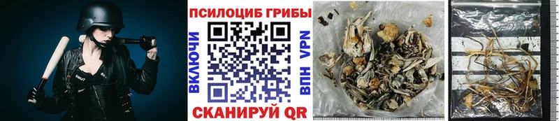 Галлюциногенные грибы мухоморы  где продают наркотики  Тавда 