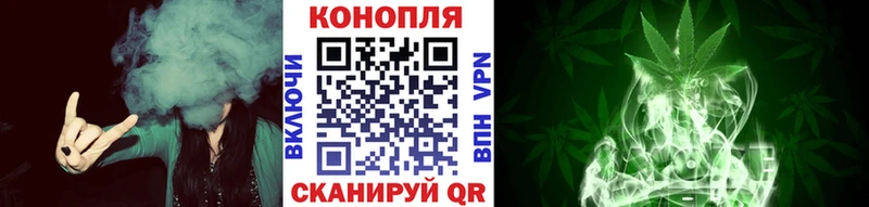 Бошки Шишки SATIVA & INDICA  купить закладку  Тавда 